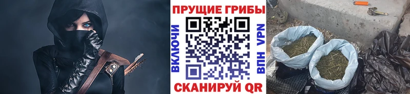 мега ONION  Курчатов  Галлюциногенные грибы MAGIC MUSHROOMS 